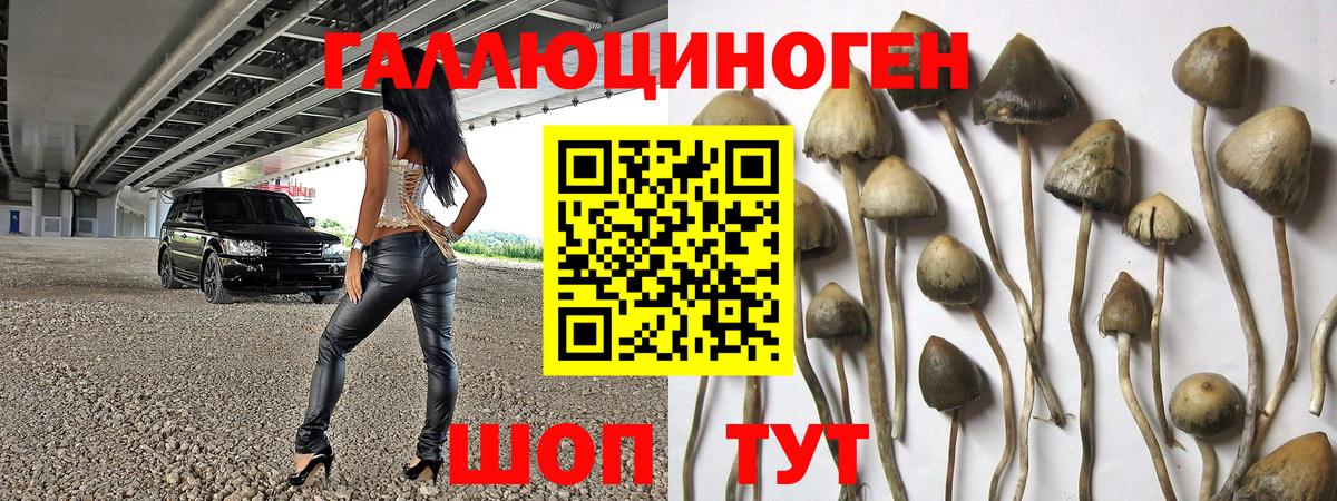Сафоново  Псилоцибиновые грибы MAGIC MUSHROOMS  как найти закладки  Вход с VPN 